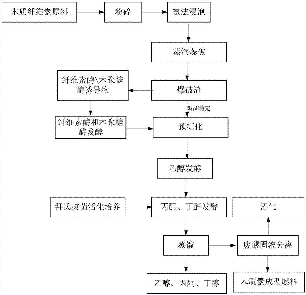 Method for co-producing ethanol, acetone and butanol by lignocellulose biomass