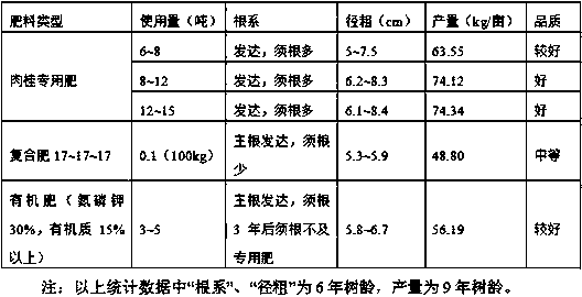 Cinnamon planting method in mountain land