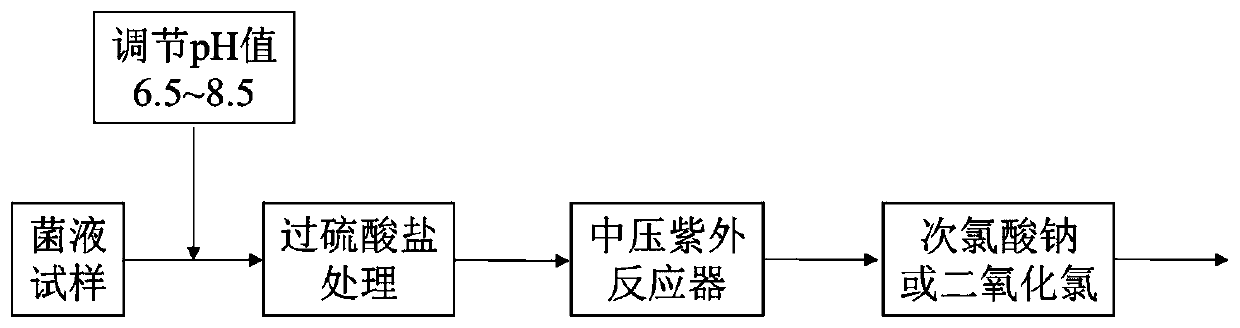 Control method for chlorine-resistant bacteria in drinking water