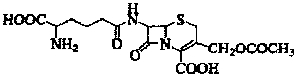 Fermentation process for preparing cephalosporin C and fermentation medium used in fermentation process