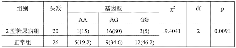 SNP marker related to miniature pig type 2 diabetes and SNP marker detection method as well as application of SNP marker