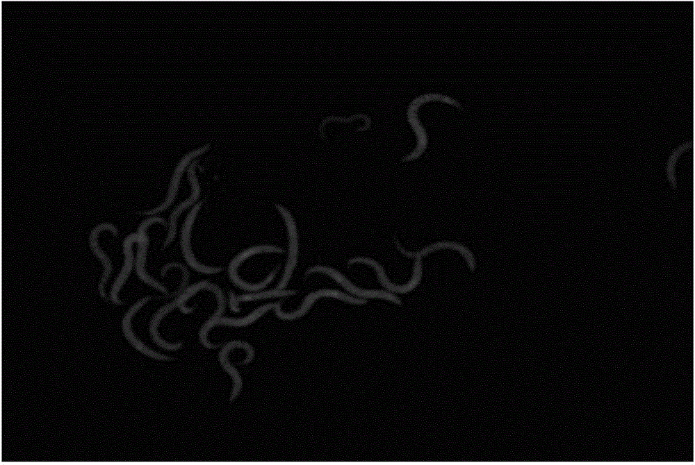 Lactobacillus plantarum Lp90, and screening method and application thereof