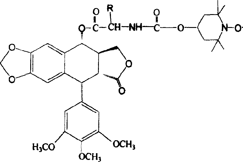 Podophyllotoxin compounds and their application and preparation process