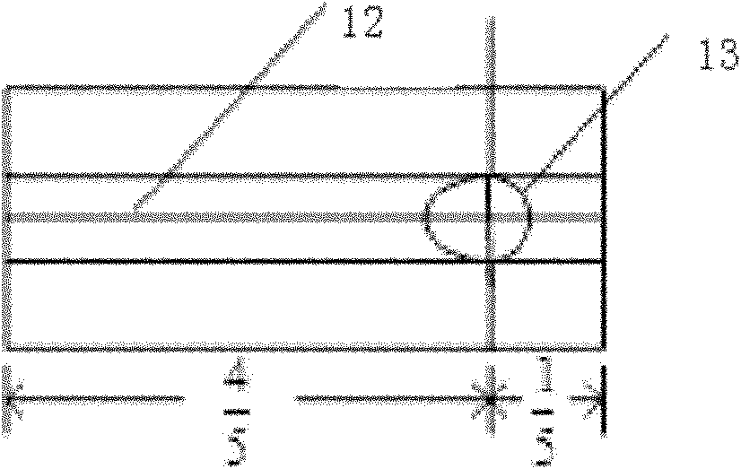 Device for feeding rice grains by keeping rice grains normative in appearance without being overlapped