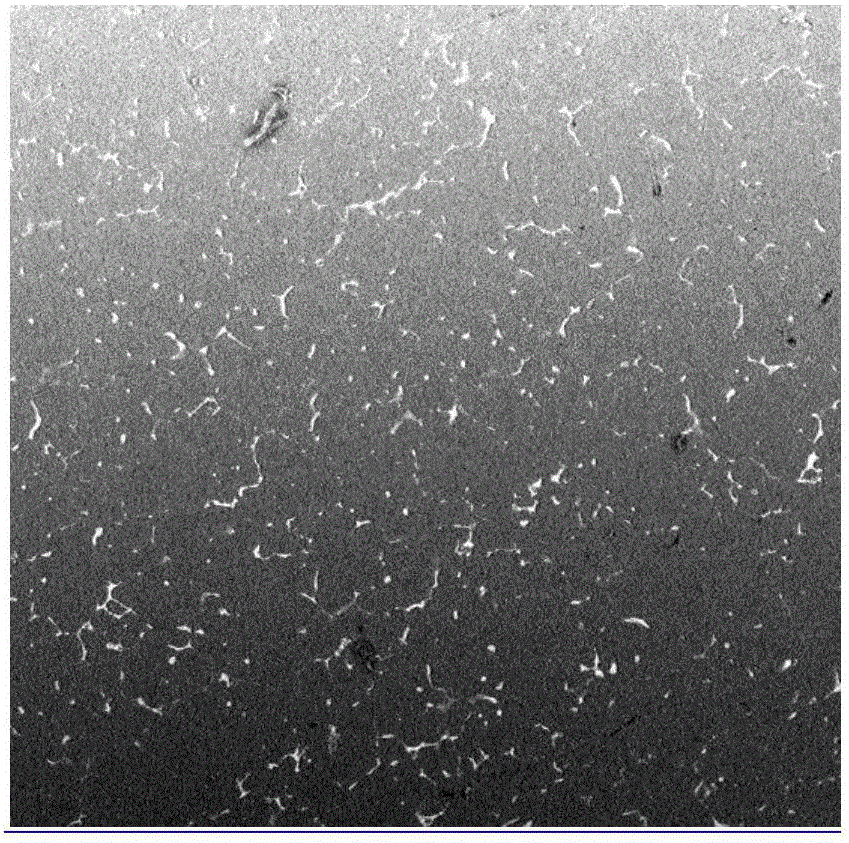 Method for refining grain capable of dissolving aluminum alloy material