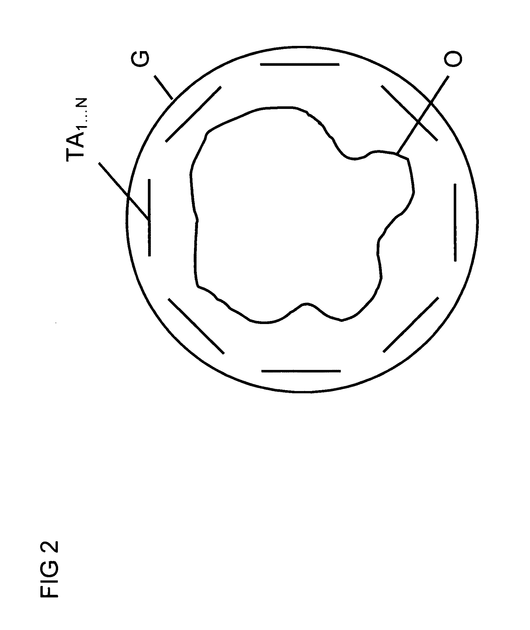 Method for obtaining amplitude and phase dependencies of RF pulses for spatially selective excitation