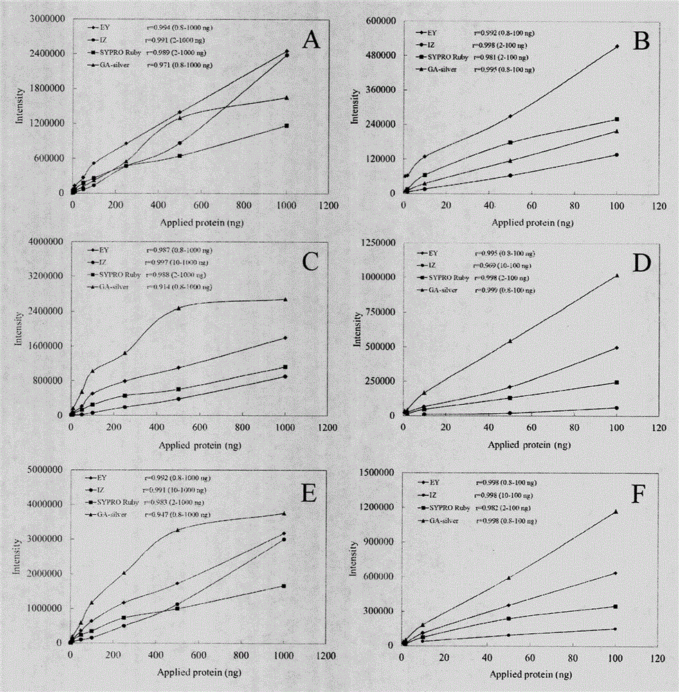 Application of Eosin and Its Derivatives in Protein Detection