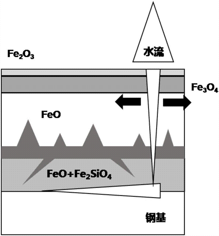 CSP-procedure-based 600 MPa-grade hot-rolled TRIP steel and fabrication method