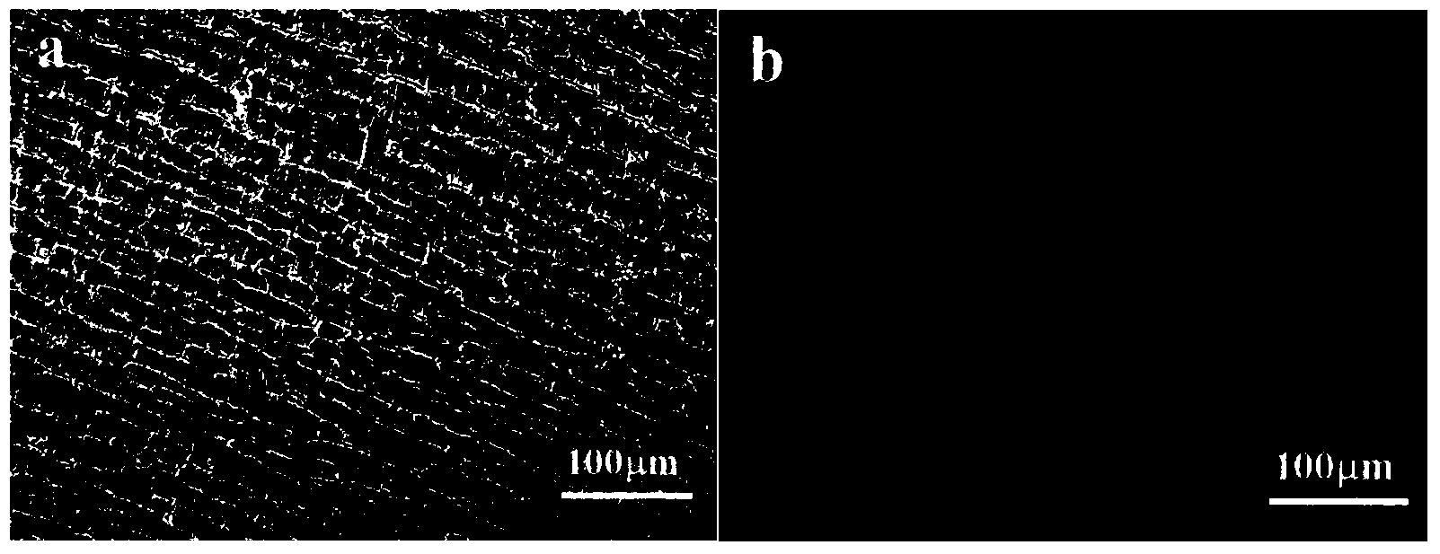 High-strength high-ductility TiAl alloy material and preparation method thereof