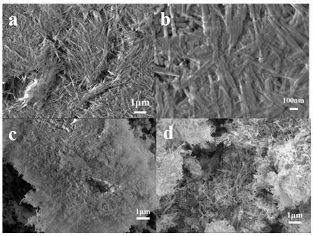 Preparation method of modified MoS2/CdS-based composite photoelectrode material and application thereof