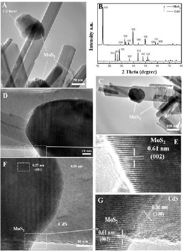 Preparation method of modified MoS2/CdS-based composite photoelectrode material and application thereof