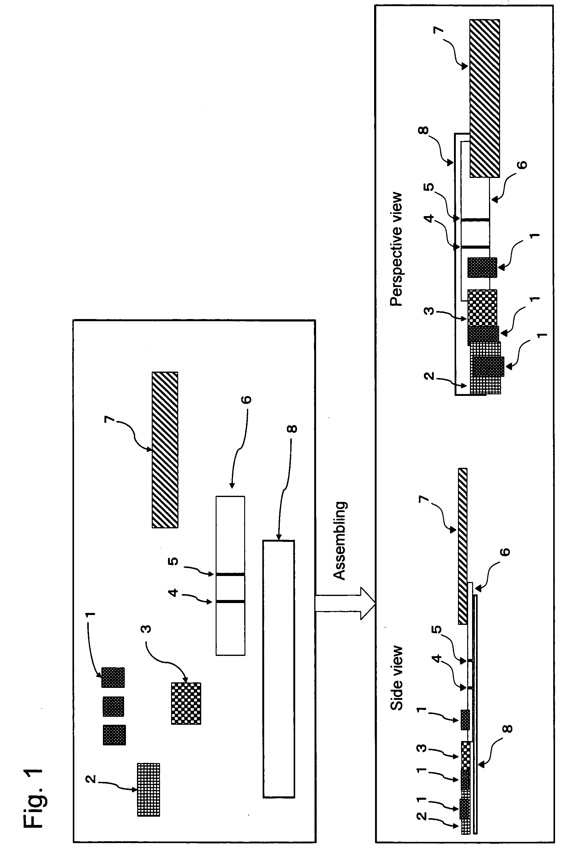 Chromatography Detection Apparatus, Detection Method, and Kit Utilizing the Same