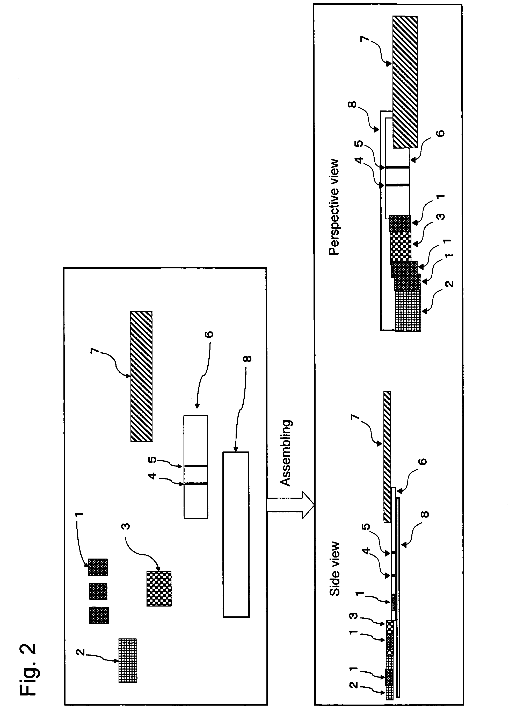 Chromatography Detection Apparatus, Detection Method, and Kit Utilizing the Same