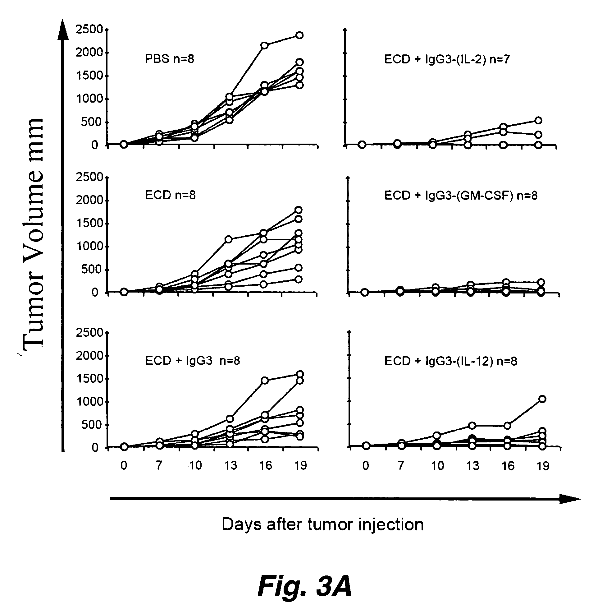 Mono-and bi-functional antibody conjugates as effective adjuvants of protein vaccination