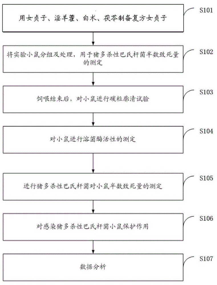 Construction method for compound glossy privet fruit for mouse model infected with pig pasteurella multocida