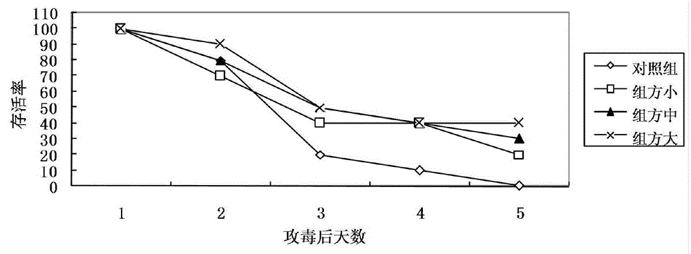 Construction method for compound glossy privet fruit for mouse model infected with pig pasteurella multocida