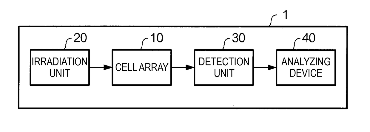 Magnetic field measuring apparatus and cell array