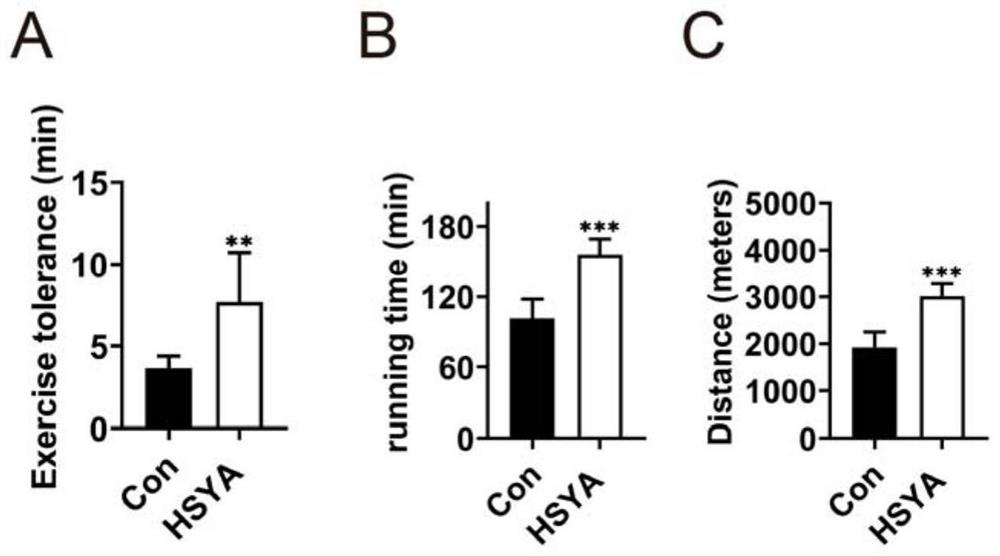 Application of hydroxysafflor yellow A in enhancing endurance