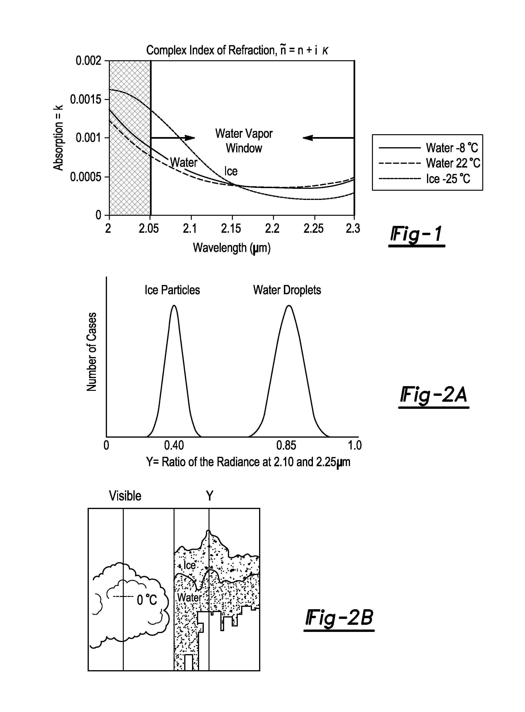 Ice and supercooled water detection system