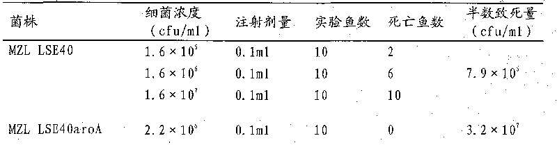 Edwardsiella tarda attenuated strain and application thereof