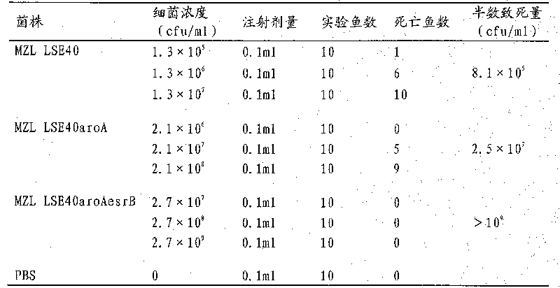 Edwardsiella tarda attenuated strain and application thereof