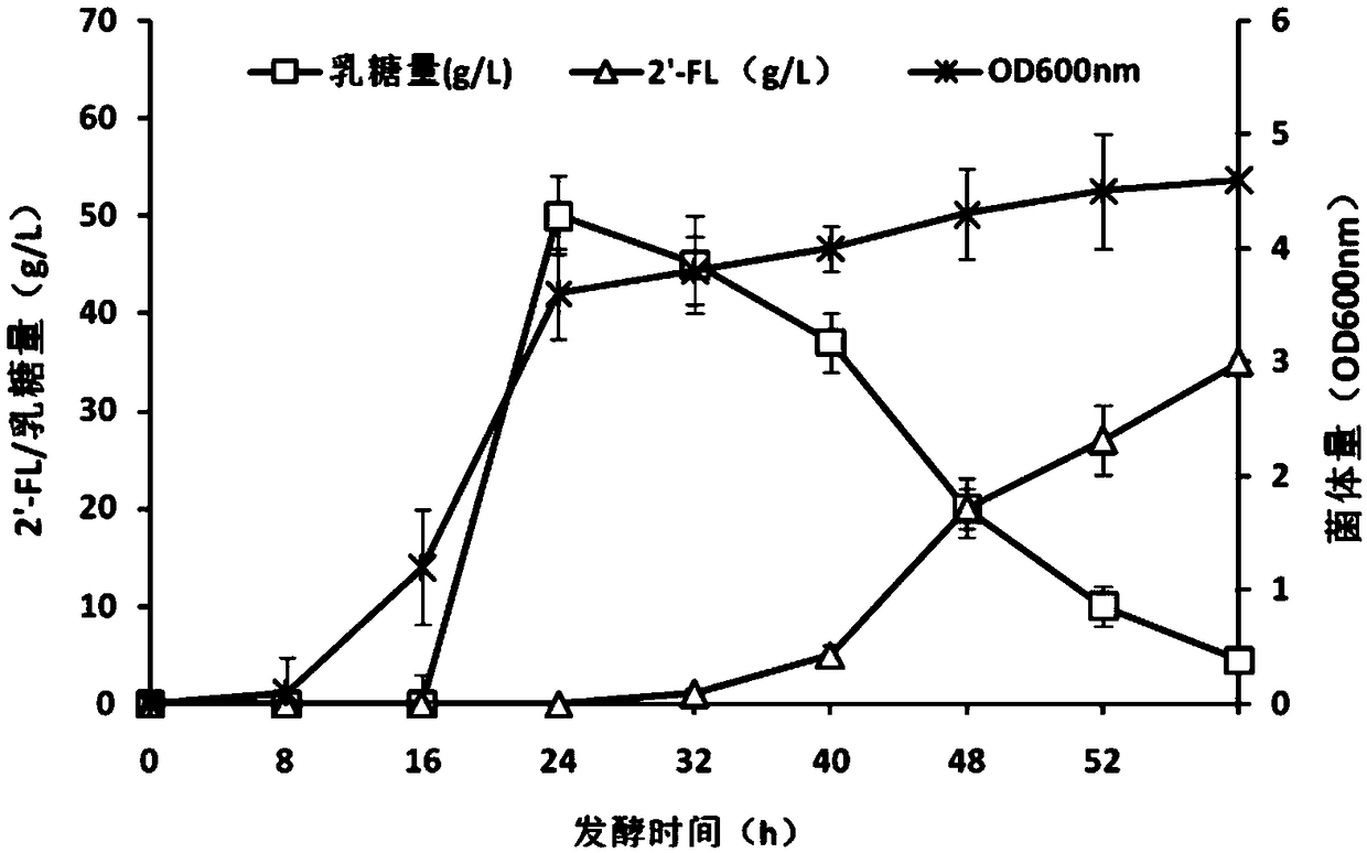 Recombinant expression plasmid vector for producing fucose-based lactose, metabolic engineering bacteria, and production method