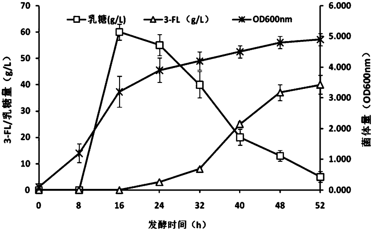 Recombinant expression plasmid vector for producing fucose-based lactose, metabolic engineering bacteria, and production method