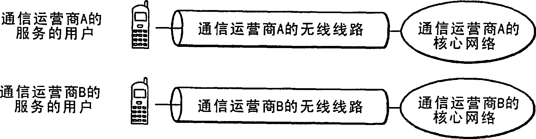 Wireless-line-shared network system, and management apparatus and method therefor