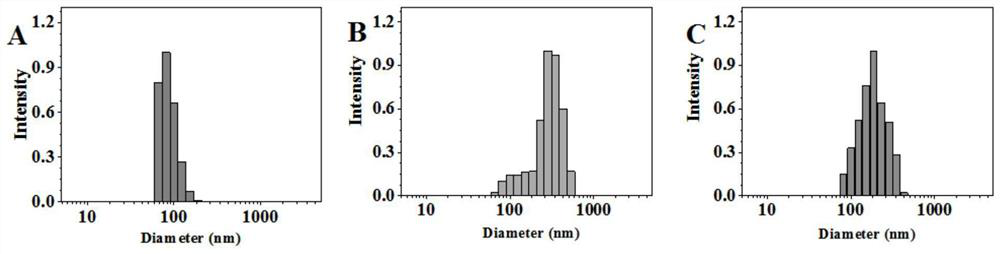 Fusion vesicle derived from bacteria and plants as well as preparation method and application of fusion vesicle