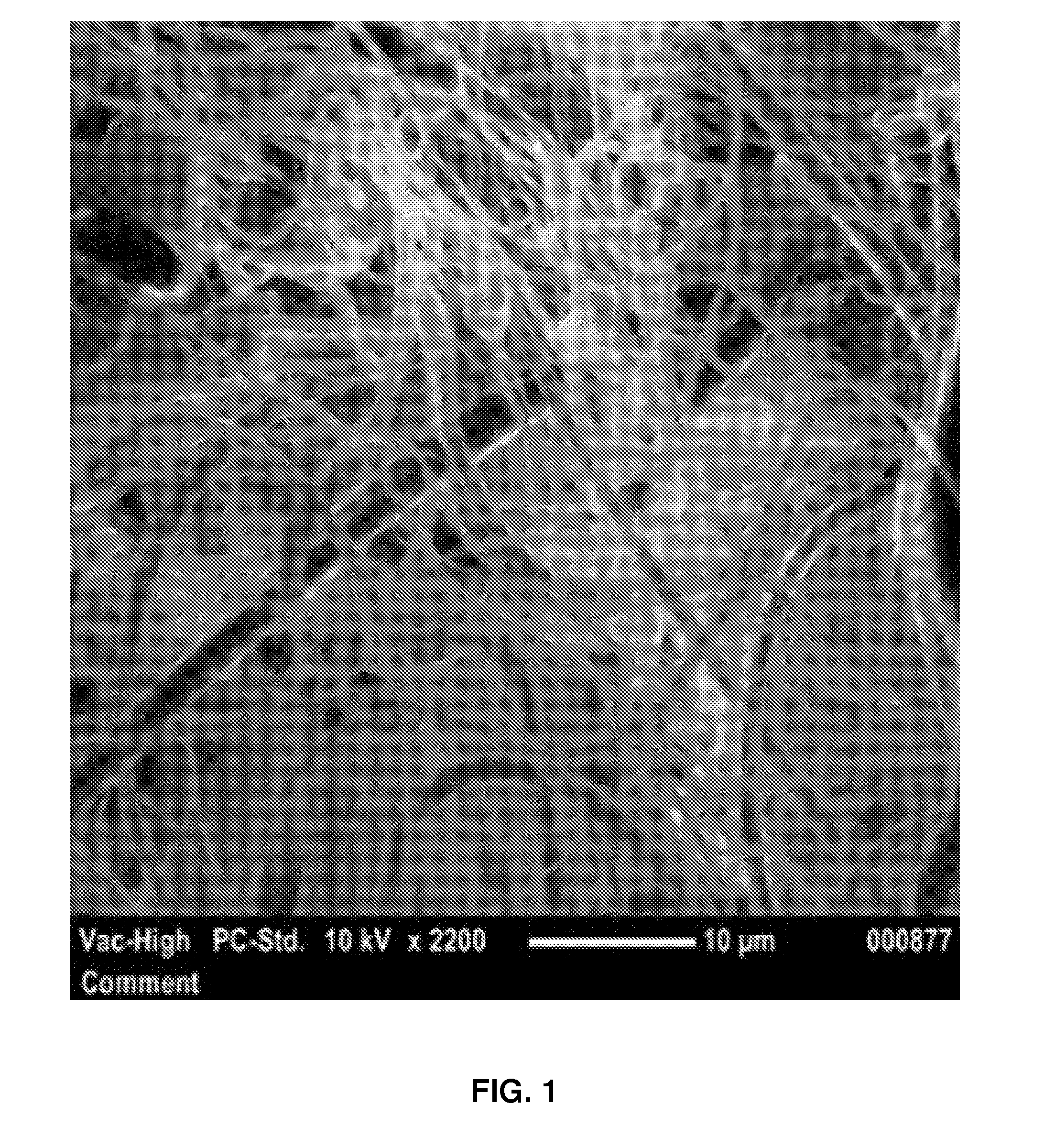 Shear spun sub-micrometer fibers