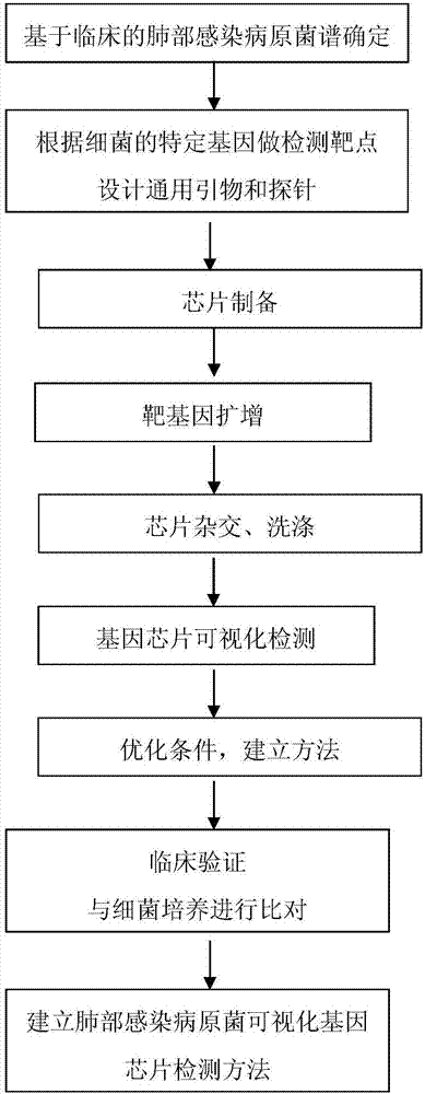 Method for detecting lung infection pathogenic bacteria by adopting visual gene chip