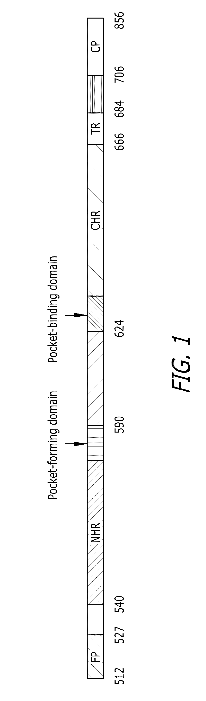 Stabilized trimeric HIV-1 gp41 fusion polypeptides comprising the N-terminal heptad repeat (NHR) and foldon (FD) trimerization motif