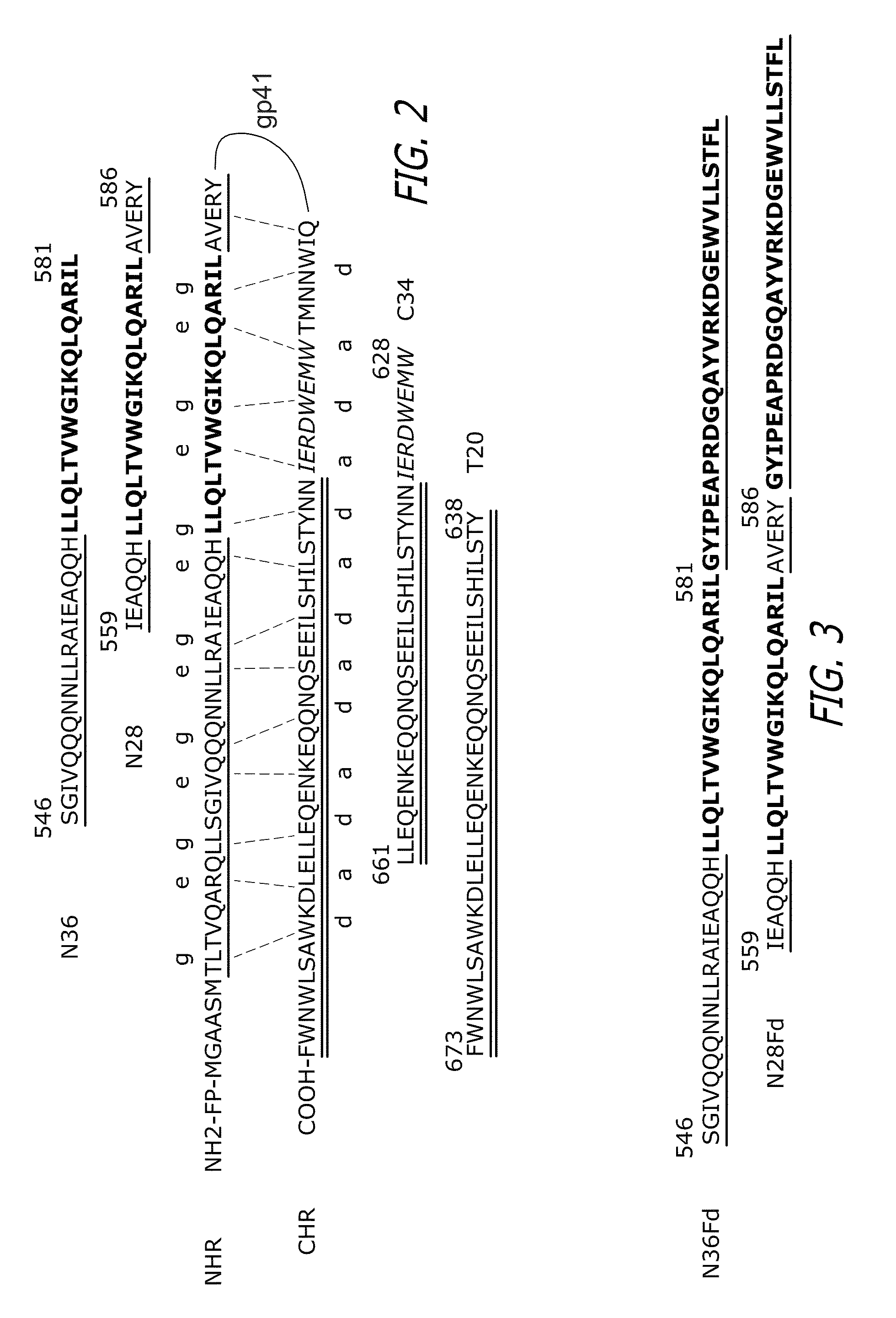 Stabilized trimeric HIV-1 gp41 fusion polypeptides comprising the N-terminal heptad repeat (NHR) and foldon (FD) trimerization motif