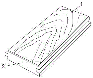 Diatom-needle environment-friendly floor