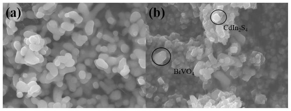 a cdin  <sub>2</sub> the s  <sub>4</sub> Nanoparticles/bivo  <sub>4</sub> Preparation method and application of nanorod composite structure