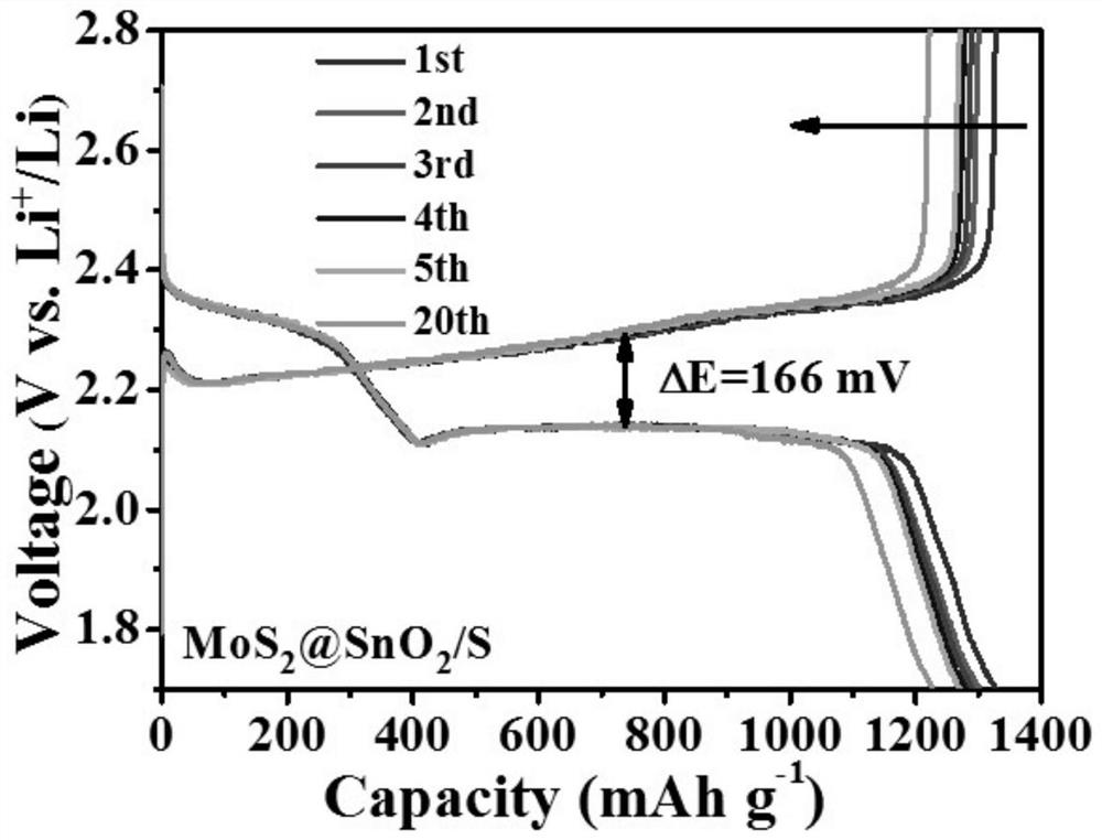 SnO2 modified MoS2 hollow microsphere loaded sulfur positive electrode composite material and application thereof in lithium-sulfur battery