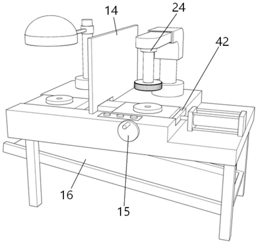 Disc polishing and detecting device with double sliding bases