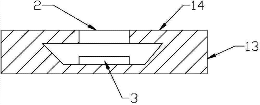 Liquid crystal terminal device, fingerprint image collection method and fingerprint collector