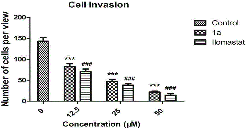 Matrix metal protease inhibitor and medicinal use thereof