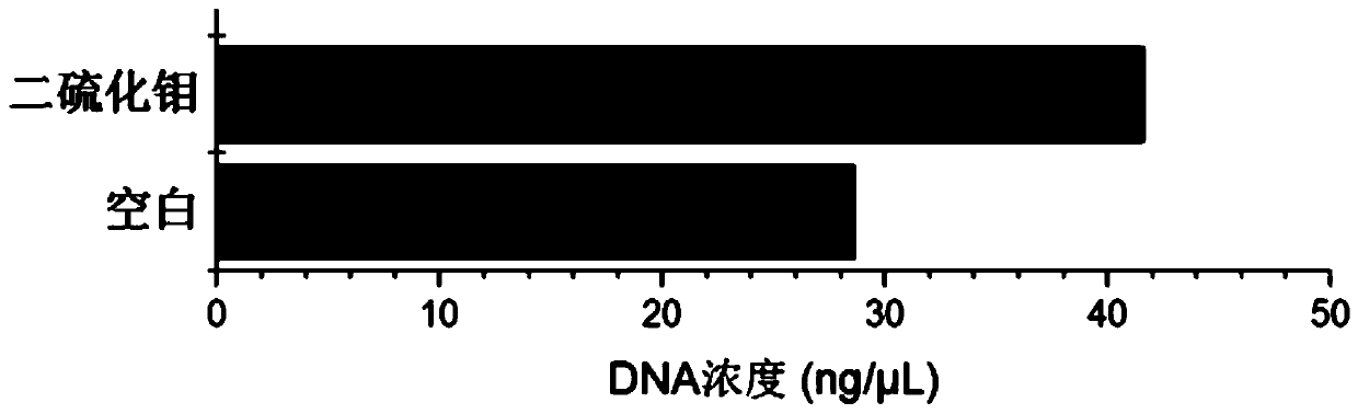 Applications and use method of molybdenum disulfide in nitrate nitrogen sewage treatment