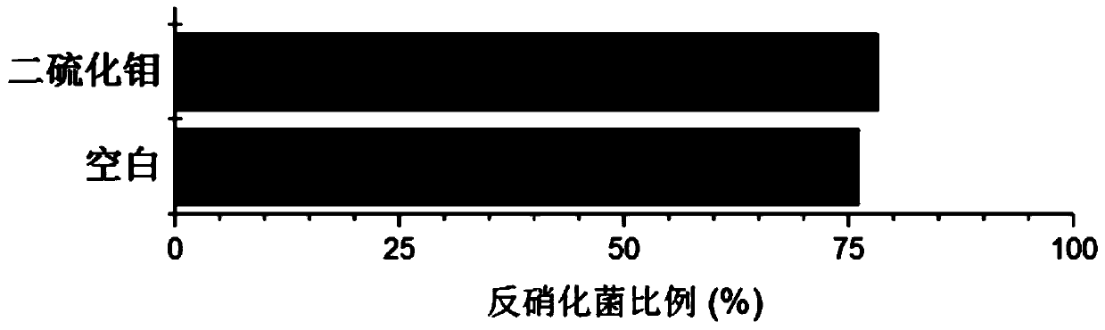 Applications and use method of molybdenum disulfide in nitrate nitrogen sewage treatment