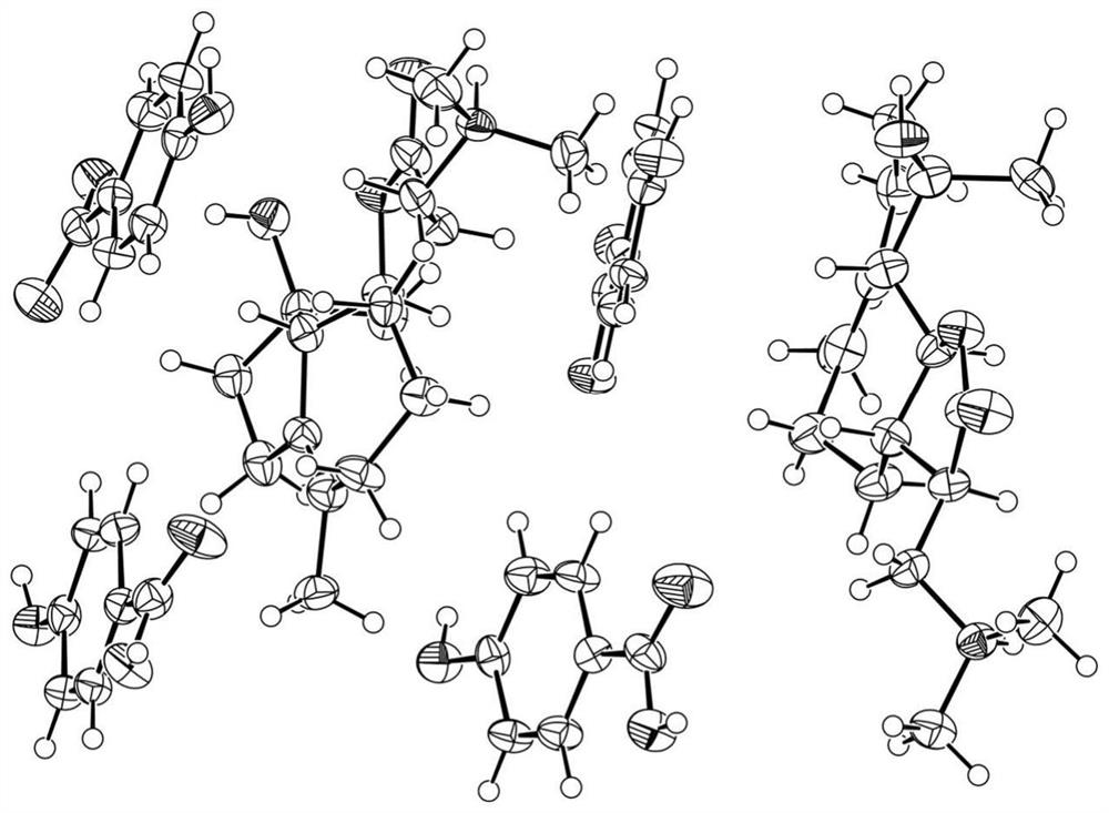 Dimethylamine sphaelactone-p-hydroxybenzoate as well as preparation method and application thereof