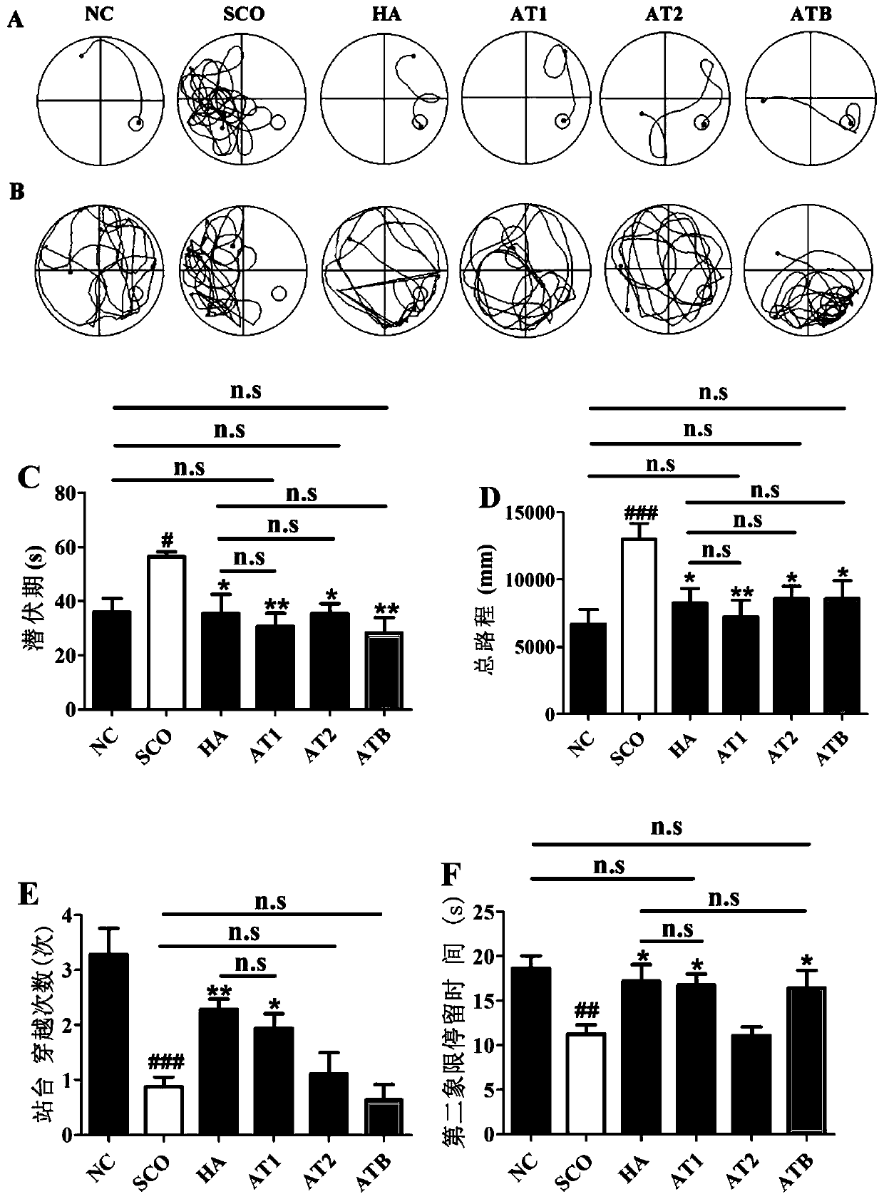 Acorus tatarinowii saccharide polymer as well as preparation method and application thereof