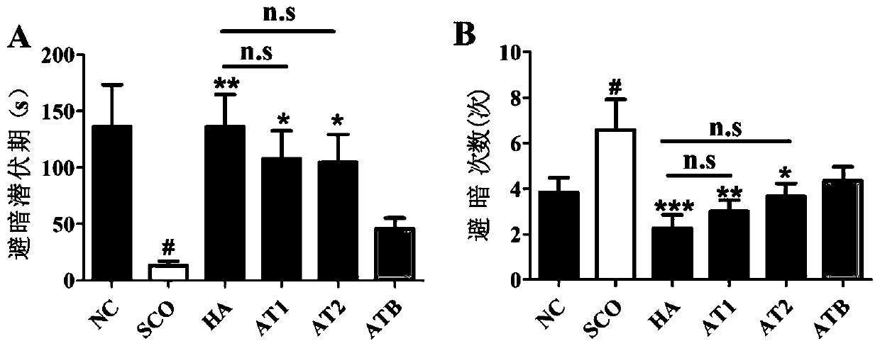 Acorus tatarinowii saccharide polymer as well as preparation method and application thereof