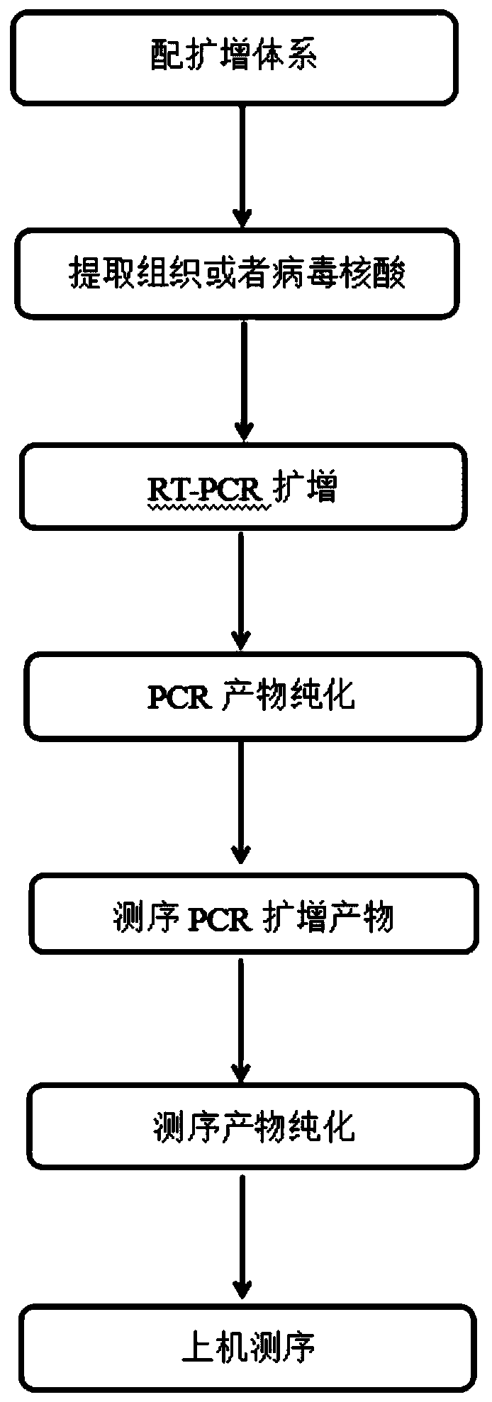 A kind of amplification primer, sequencing primer, kit and method for detecting hepatitis C virus genotyping