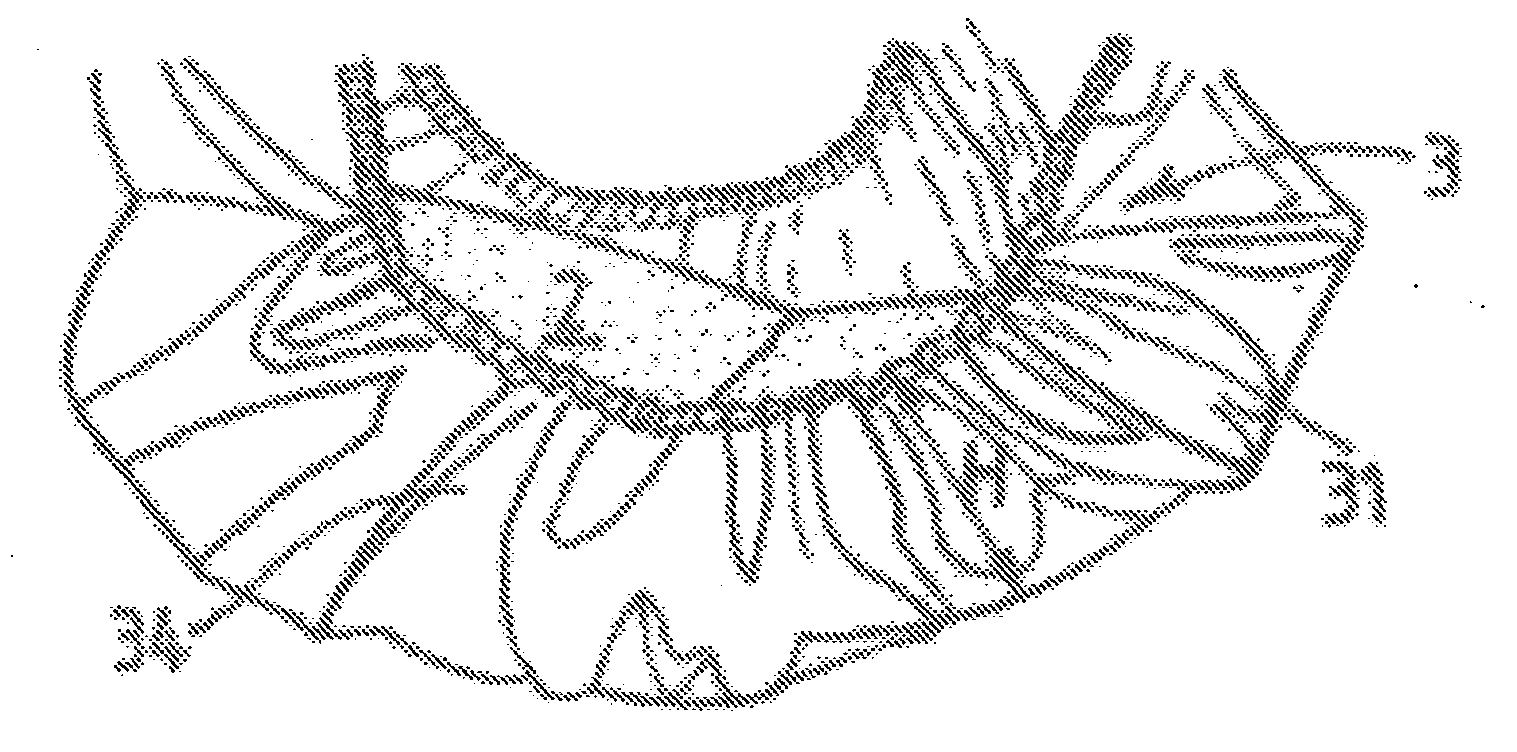 Structure with a reusable absorbent layer and associated sleeve