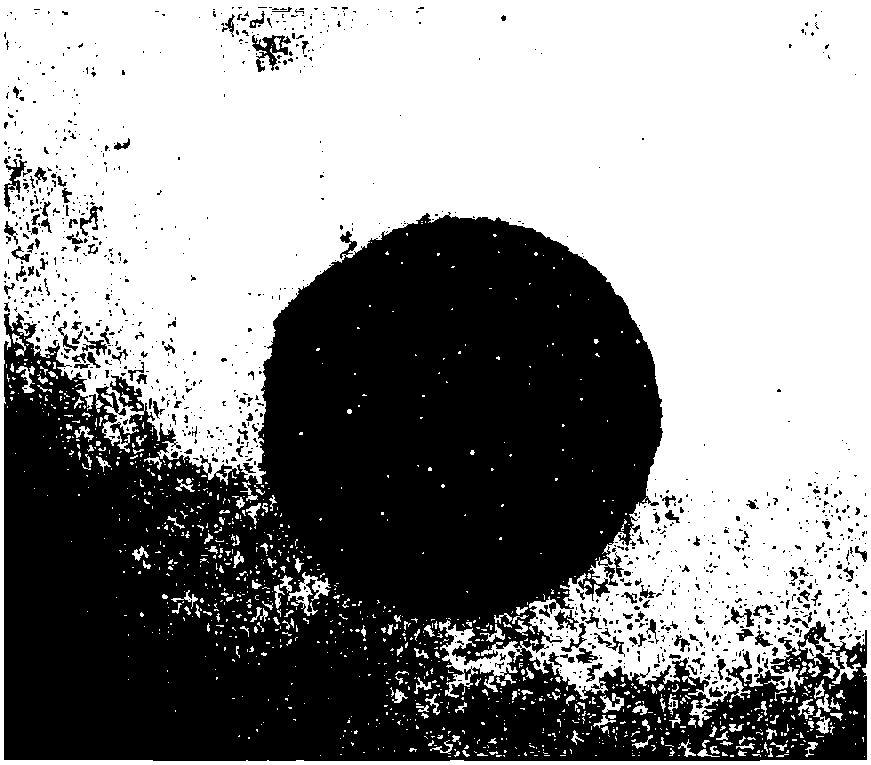 Chromium-containing oxide-carbide composite coating and preparation method thereof