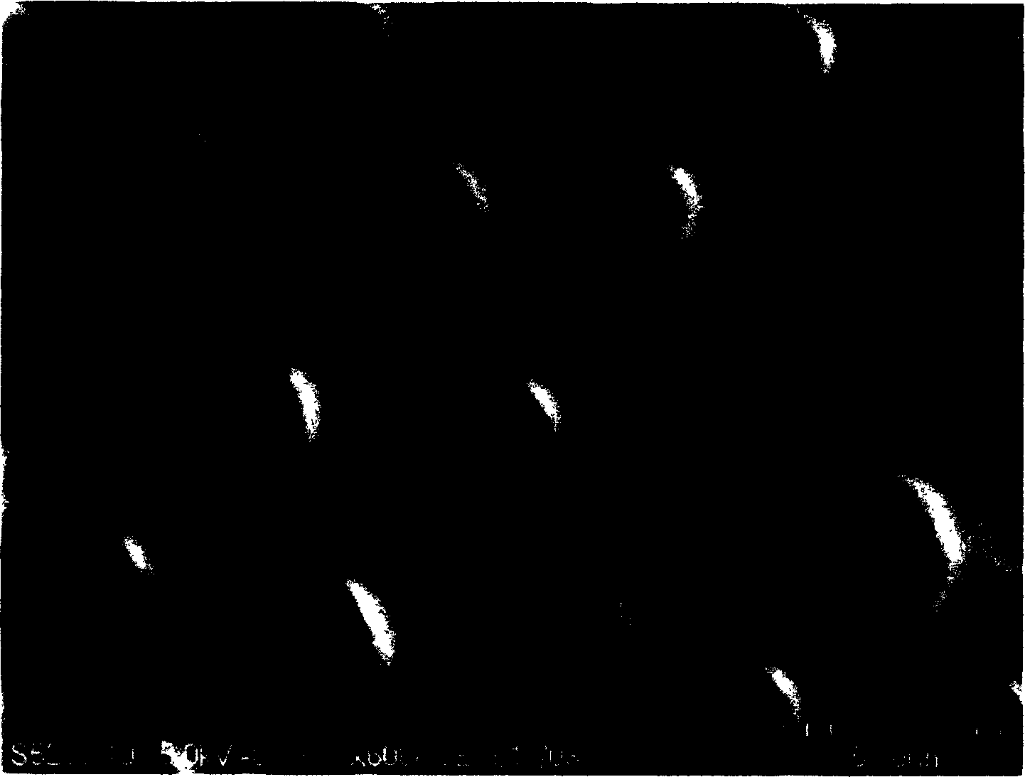 Process for producing ordered porous anodic alumina form