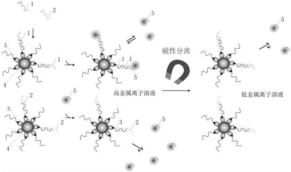 Single base mutation detection method