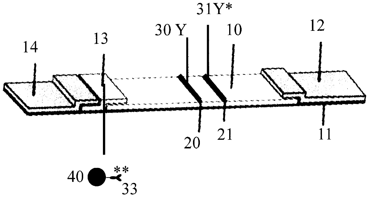 Laterally-flowing immunoassay method using time resolution up-converting phosphor technology